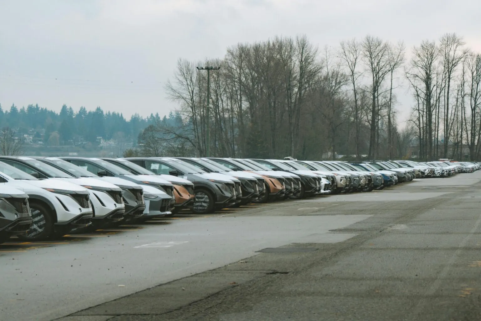 Long rows of new cars parked in a lot beside a line of bare trees on an overcast day