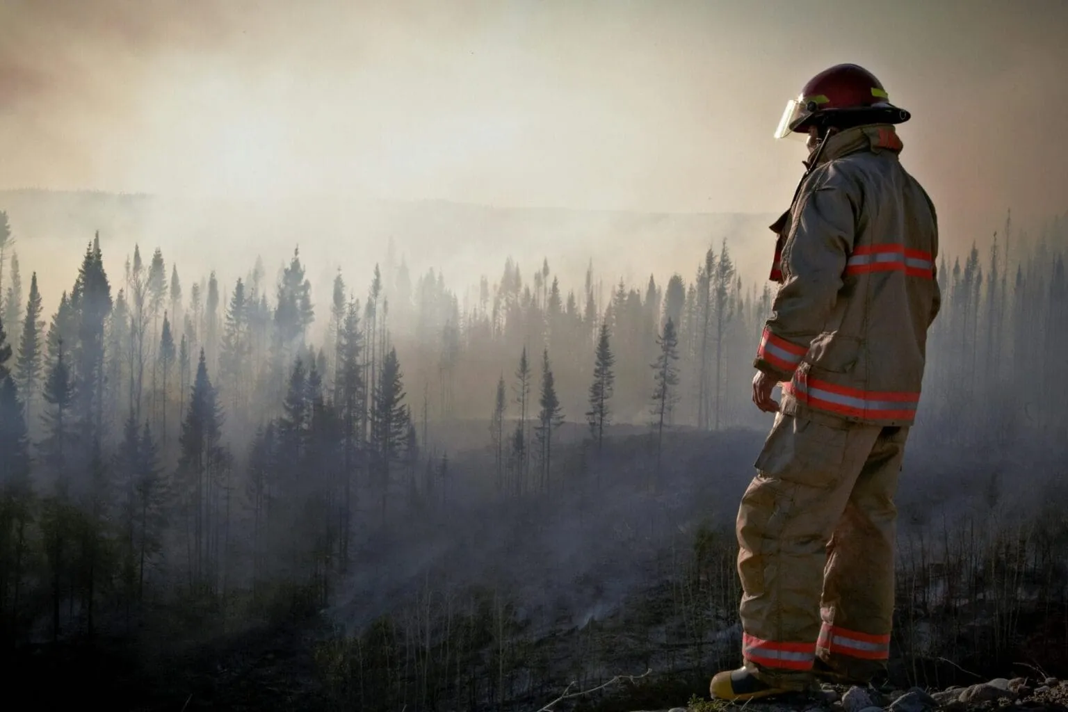 Firefighter in tan turnout gear and red helmet standing on a ridge, looking out over smoky evergreen forest